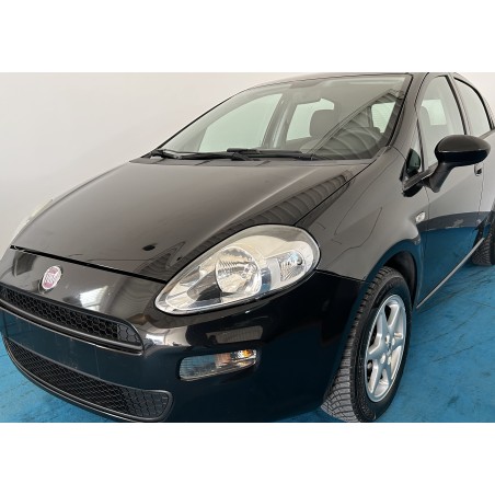 𝐅𝐈𝐀𝐓 𝐏𝐔𝐍𝐓𝐎