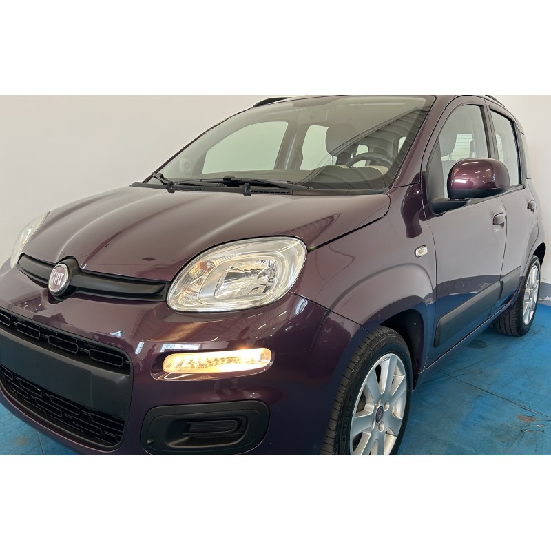 𝐅𝐈𝐀𝐓 𝐏𝐀𝐍𝐃𝐀