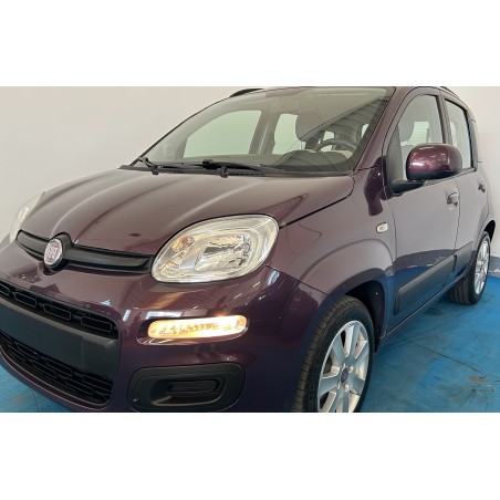 𝐅𝐈𝐀𝐓 𝐏𝐀𝐍𝐃𝐀